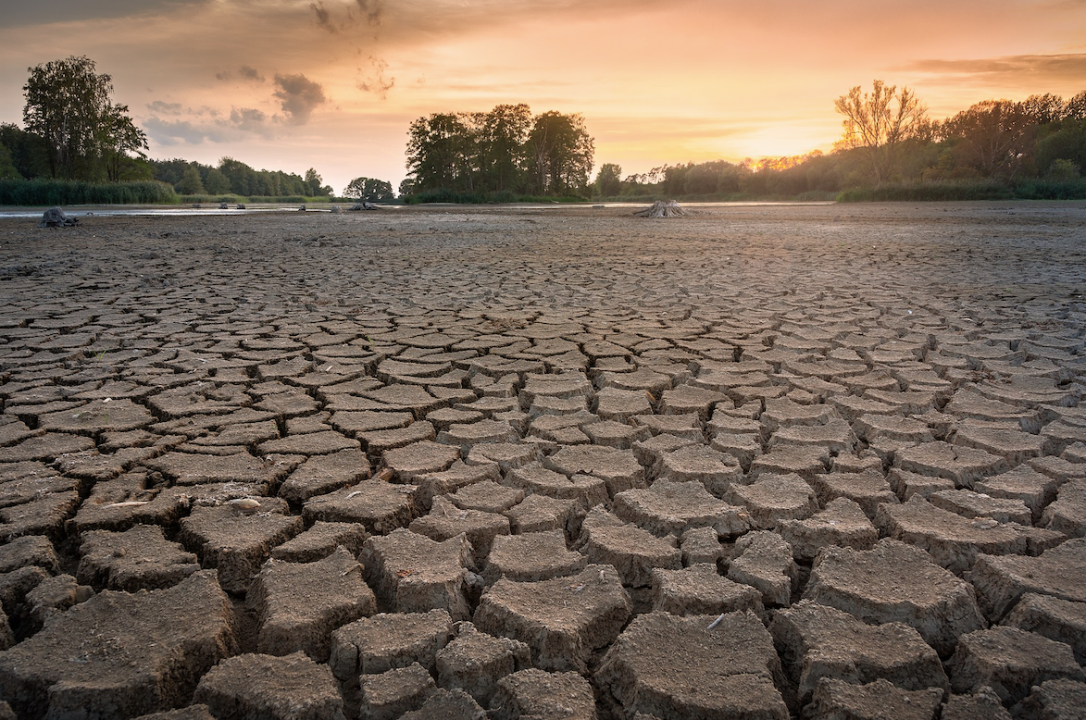 2012: National drought